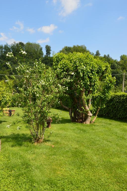 Agriturismo Morgan Montebelluna Exterior photo